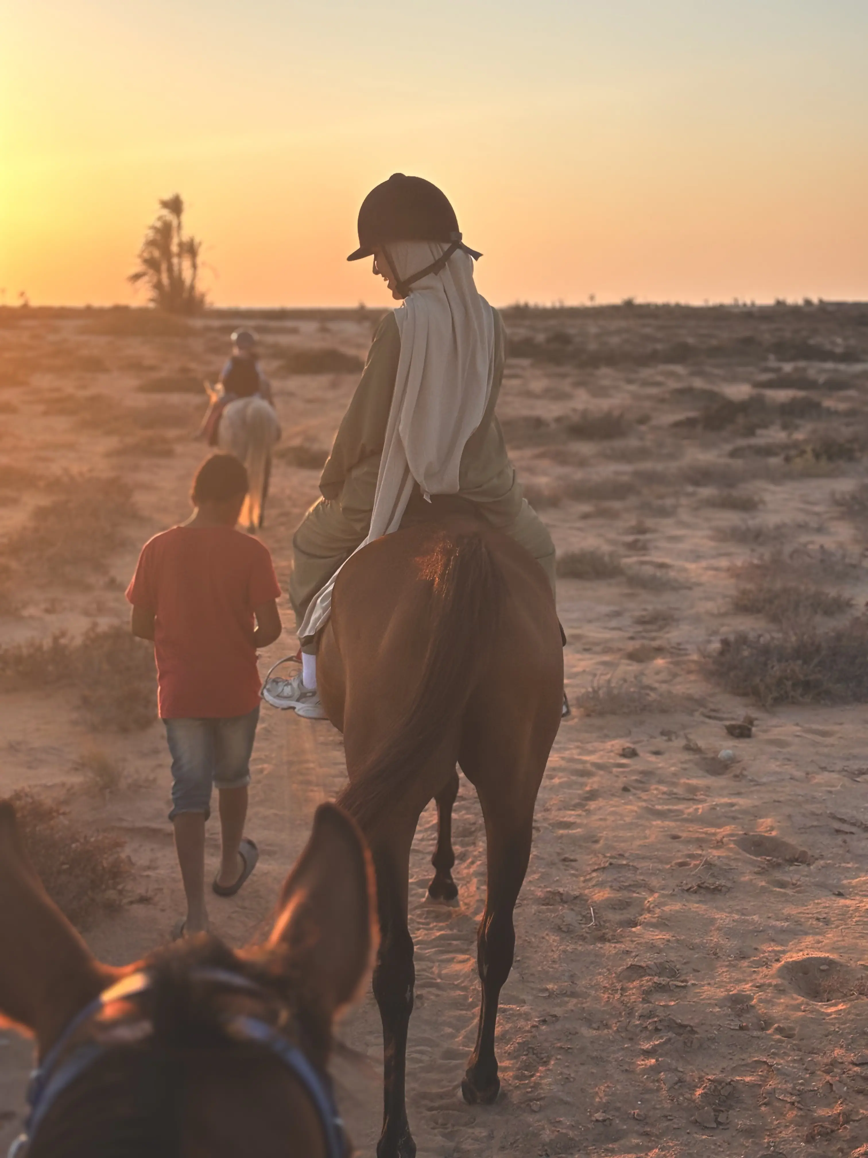 Horse Riding in Sidi Jmour - Gallery image 4