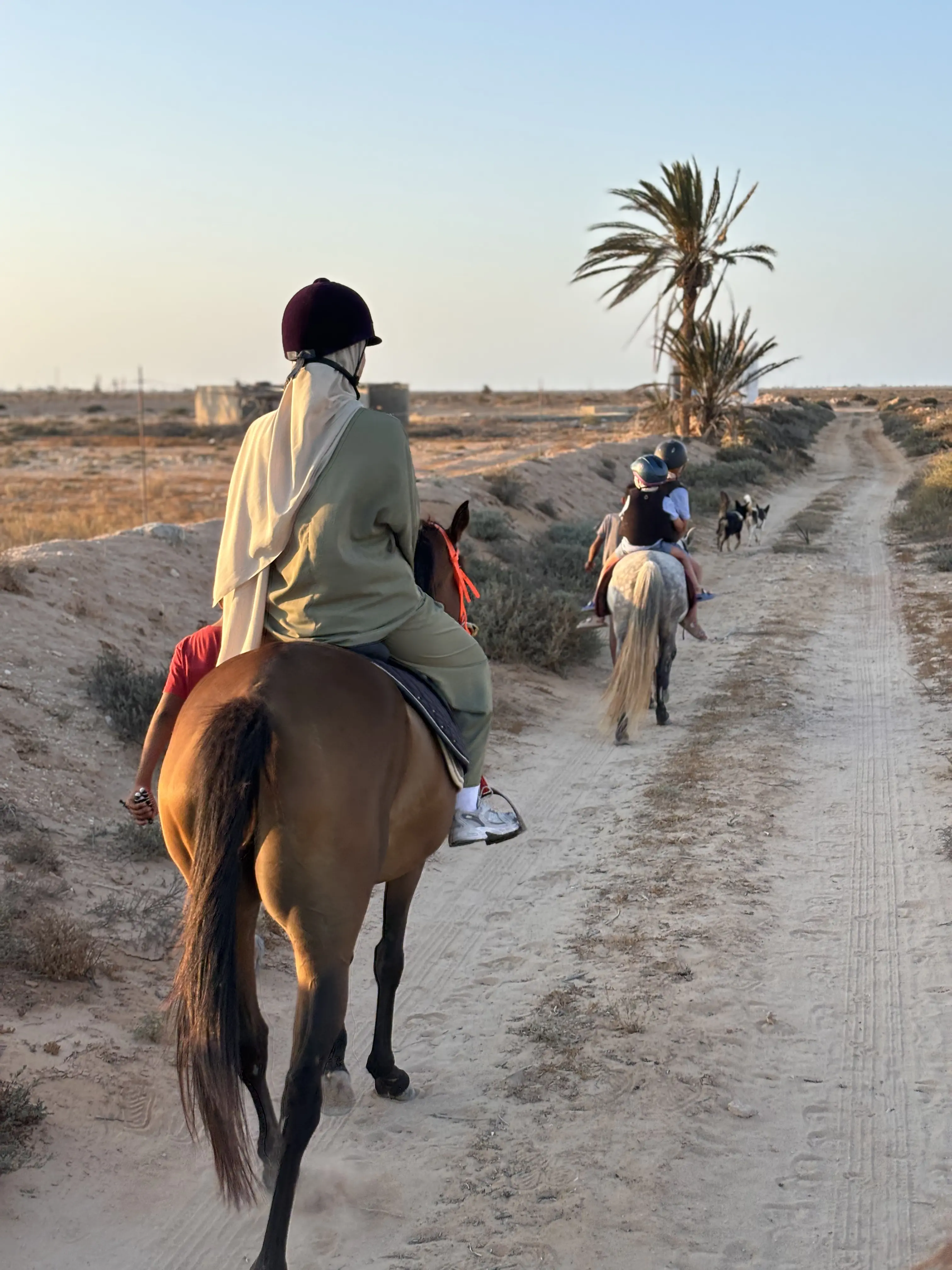Horse Riding in Sidi Jmour - Gallery image 2
