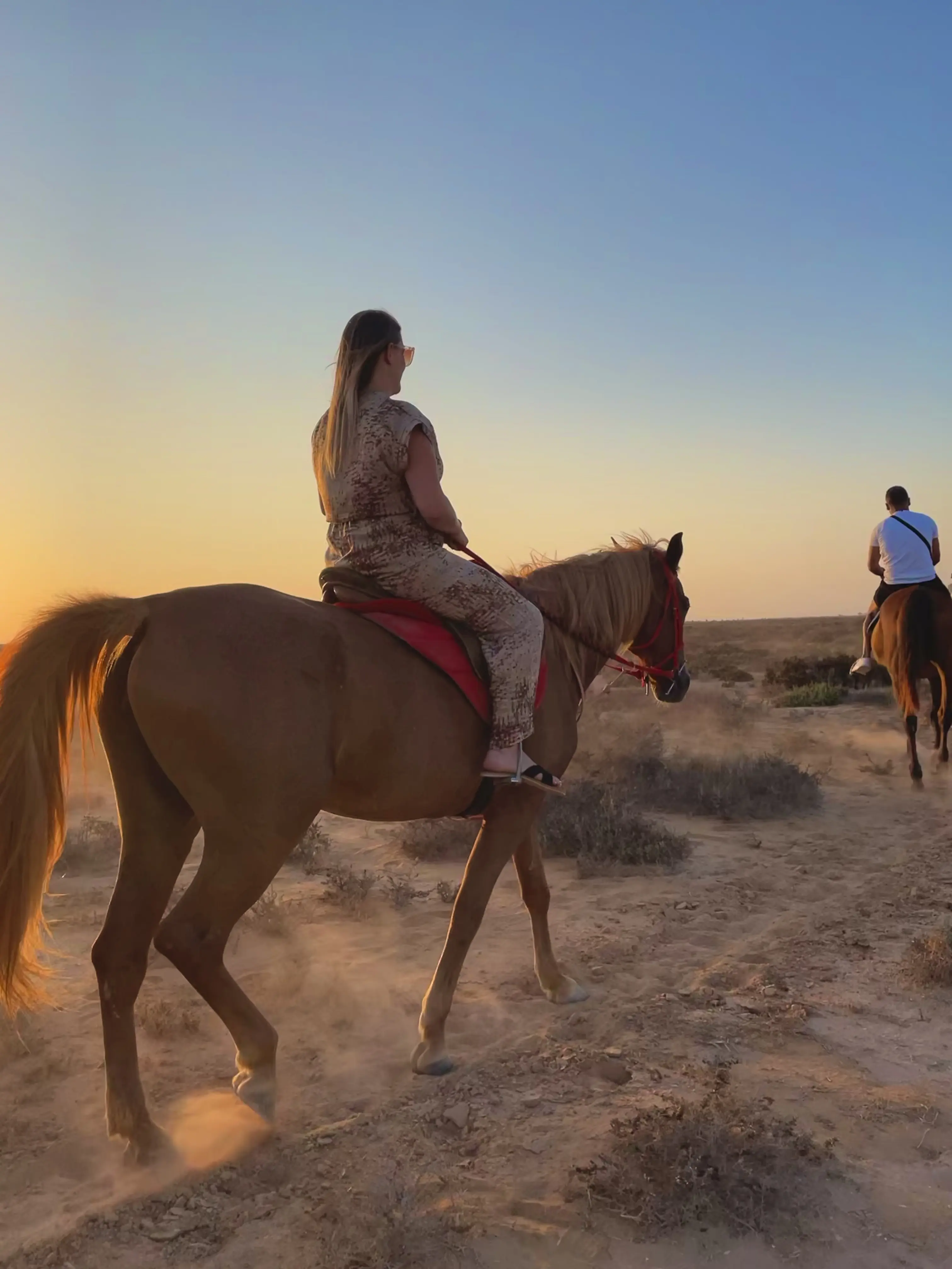 Horse Riding in Sidi Jmour - Gallery image 1